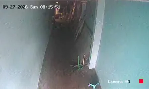 Caméra IP - TH