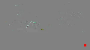 Caméra IP - DE