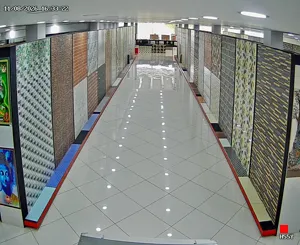 Caméra IP - IN