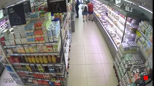 Caméra IP - ES