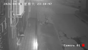 Caméra IP - CN