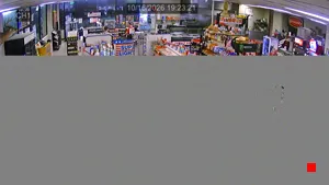 Caméra IP - US