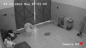 Caméra IP - TN