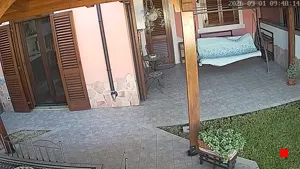 Caméra IP - IT