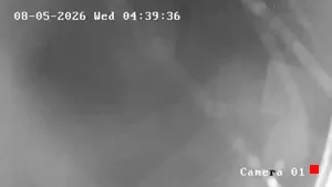Caméra IP - GE