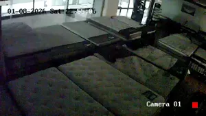 Caméra IP - MX