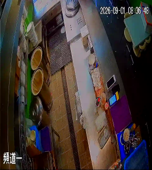 Caméra IP - HK