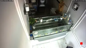 Caméra IP - DE