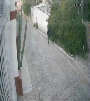 Caméra IP - MX