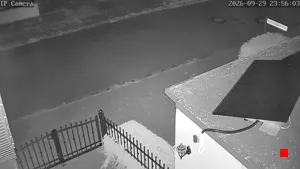 Caméra IP - DE