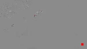 Caméra IP - IT