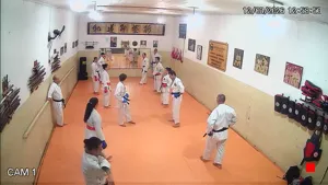 Caméra IP - BR