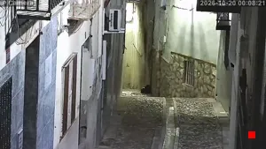 Caméra IP - ES