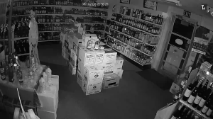 Caméra IP - US