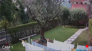 Caméra IP - IT