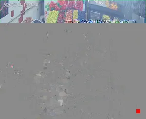 Caméra IP - IR