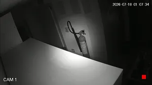 Caméra IP - ES