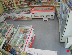 Caméra IP - KR