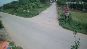 Caméra IP - VN