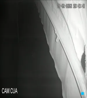 Caméra IP - VN