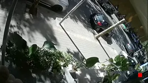 Caméra IP - AL