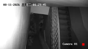 Caméra IP - CN