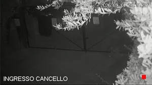 Caméra IP - IT