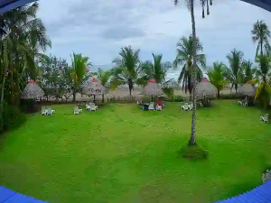 Caméra IP - PA