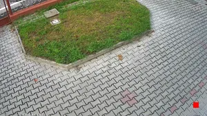 Caméra IP - IT