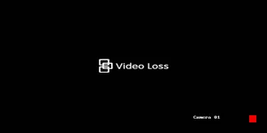 Caméra IP - US