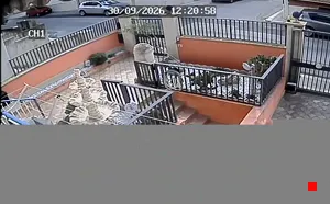 Caméra IP - IT
