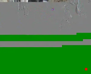 Caméra IP - PK