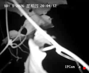 Caméra IP - CN