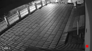 Caméra IP - IT