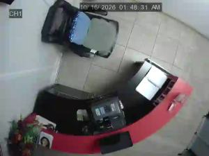 Caméra IP - US