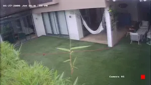 Caméra IP - DO