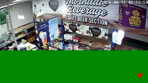 Caméra IP - US