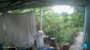 Caméra IP - TH