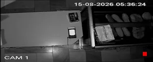 Caméra IP - US