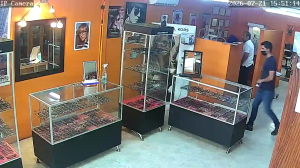Caméra IP - MX