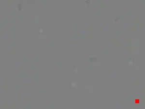 Caméra IP - IT