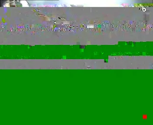 Caméra IP - IR