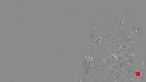 Caméra IP - IT