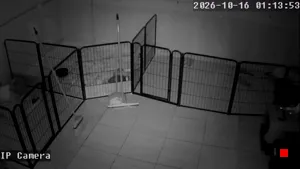 Caméra IP - AR