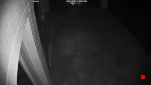 Caméra IP - US