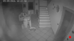 Caméra IP - IT