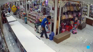 Caméra IP - IN