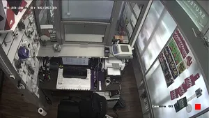 Caméra IP - PL