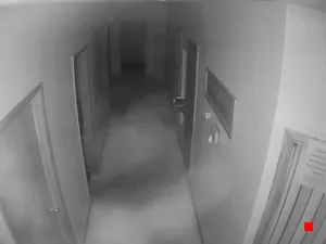 Caméra IP - US