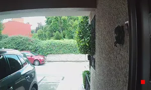 Caméra IP - MX